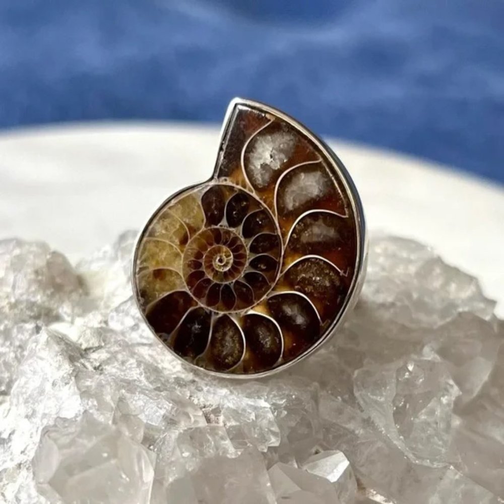 Vintage Artisan Arya Ammonite Sterling Silver Ring